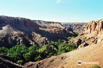 Canyon Temirlik第 1 张图片