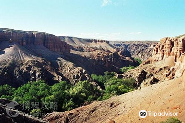 Canyon Temirlik第 3 张图片