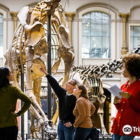 柏林自然博物馆