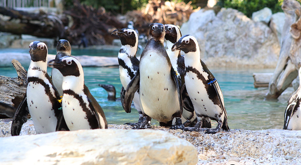Giardino Zoologico di Pistoia