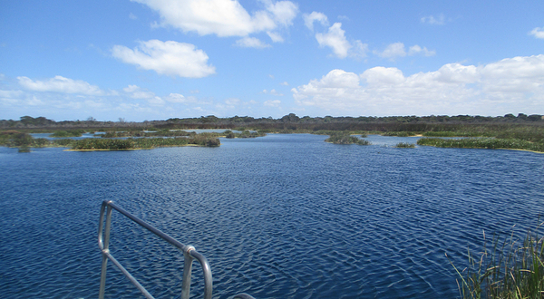 Piccaninnie Ponds Conservation Park