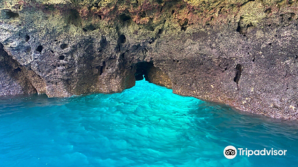 Praia de Dona Ana第 5 张图片