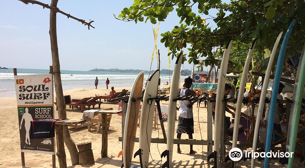 Soulsurf Weligama