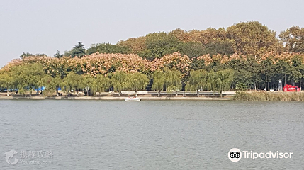龙湖公园第 4 张图片