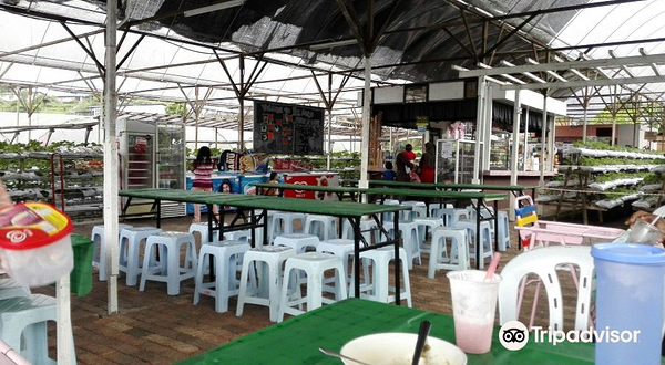 Taman Agro Al-Mashoor