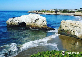 Natural Bridges State Beach