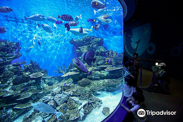 丽水Aqua Planet水族馆第 5 张图片