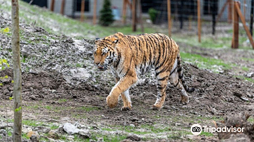 弗里斯兰水族动物园