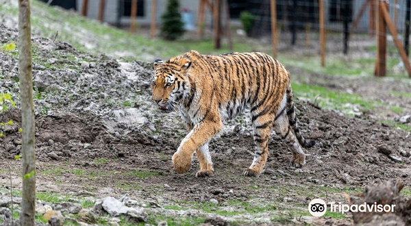 弗里斯兰水族动物园