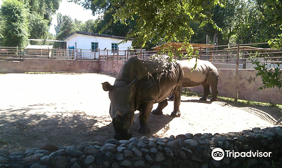 Almaty Zoo第 6 张图片