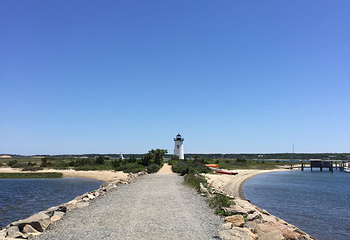 Lighthouse Beach第 4 张图片