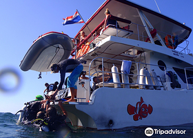 安达曼珊瑚潜水