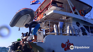 安达曼珊瑚潜水