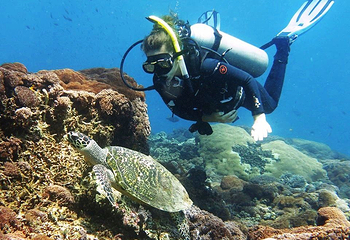 Diving Indo第 3 张图片