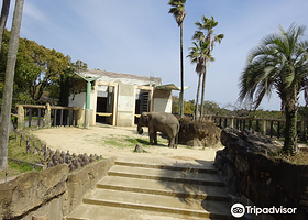 宫崎市凤凰自然动物园