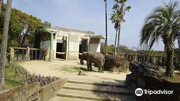 宫崎市凤凰自然动物园
