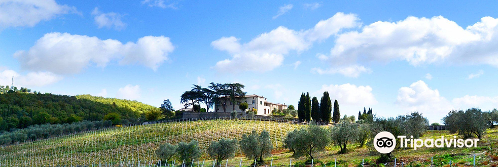 Bindi Sergardi Winery - Tenuta Mocenni