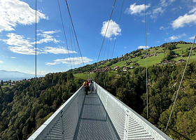 锡格里斯维尔全景桥