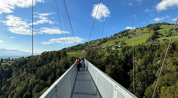 锡格里斯维尔全景桥