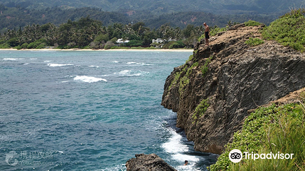 Lāʻie Point State Wayside第 9 张图片