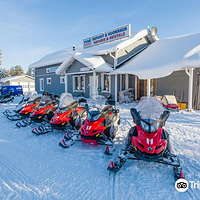 Pyhä Safaris