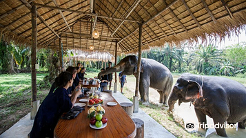 Krabi Elephant House Sanctuary