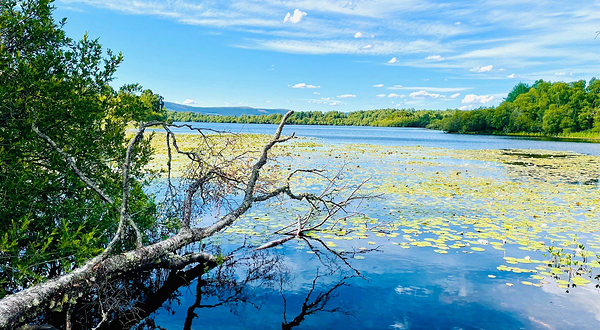 Muir of Dinnet National Nature Reserve