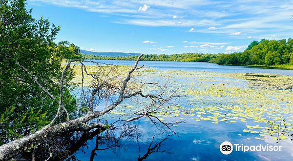 Muir of Dinnet National Nature Reserve