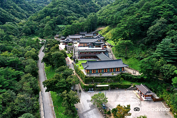 大关岭羊群牧场第 4 张图片