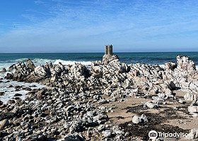 Stony Point Penguin Colony Entrance