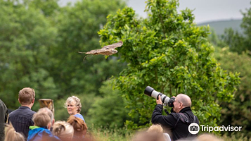 National Botanic Garden of Wales | Gardd Fotaneg Genedlaethol Cymru
