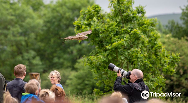 National Botanic Garden of Wales | Gardd Fotaneg Genedlaethol Cymru