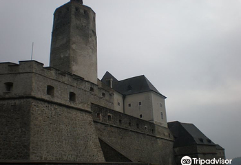Forchtenstein Castle第 7 张图片