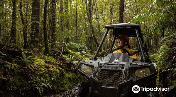 格雷茅斯四驱车探险之旅