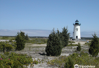 Lighthouse Beach第 3 张图片