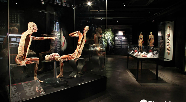 阿姆斯特丹人体世界