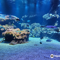 Loebbecke-Museum und Aquazoo