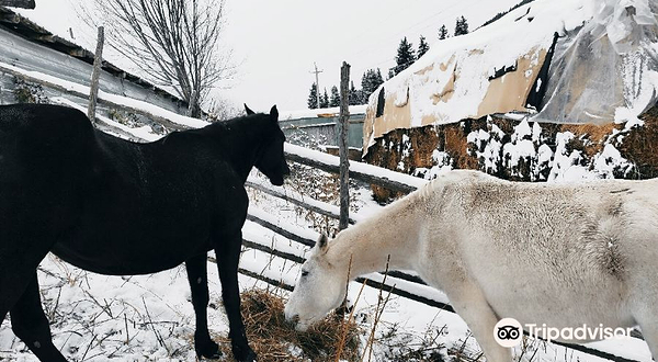 HORSE RIDING ON KARAKOL valley