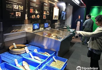 琵琶湖博物馆第 3 张图片