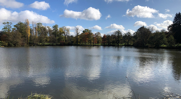 Arboretum de Versailles-Chevreloup