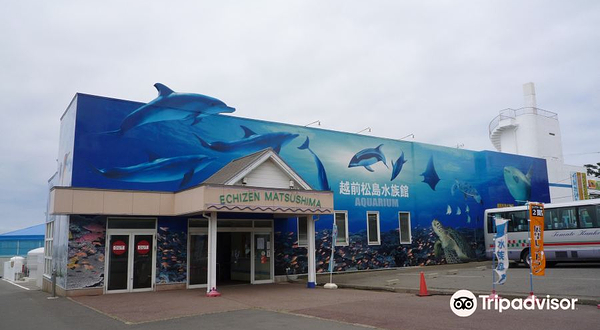 越前松岛水族馆