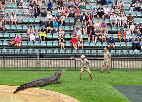 澳大利亚动物园