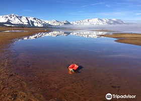 Thomas F. Regan Memorial City Beach