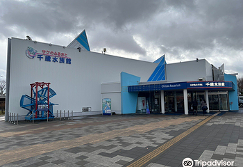 千岁水族馆第 17 张图片