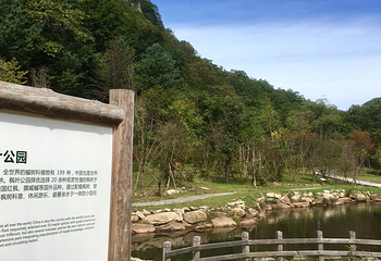 丹东天桥沟景区第 53 张图片