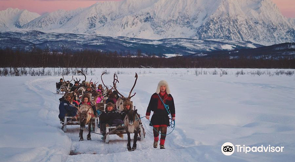 特罗姆瑟拉普兰雪橇之旅