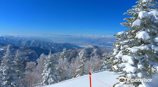 志贺高原滑雪场