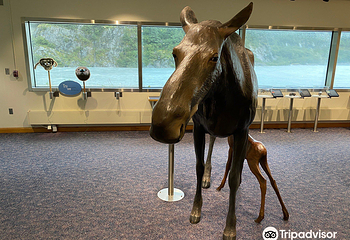 Begich Boggs Visitor Center第 7 张图片