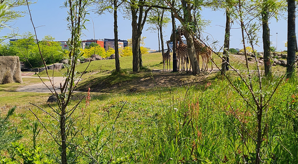 Wildlands Adventure Zoo Emmen