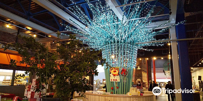 山梨富士水果公园